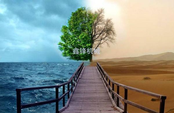 你的善良，要带点锋芒